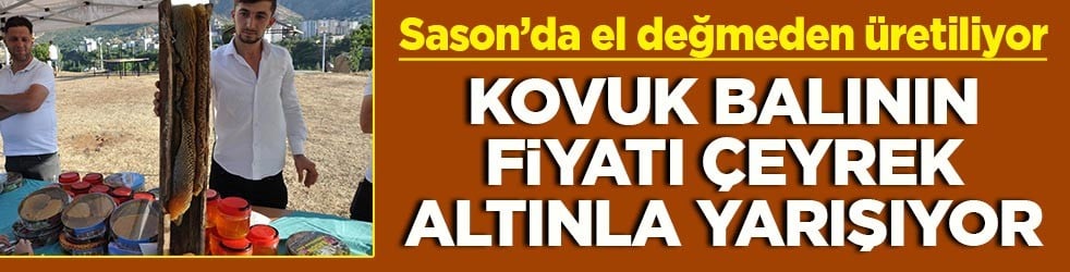 Sason'da ağaç kovuklarından çıkan balın kilosu çeyrek altını geride bıraktı
