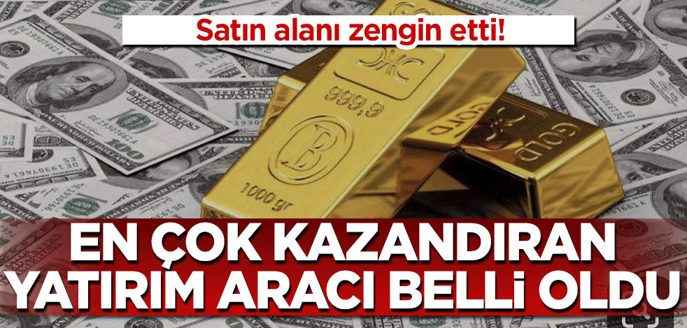 Satın alanı zengin etti! En çok kazandıran yatırım aracı belli oldu