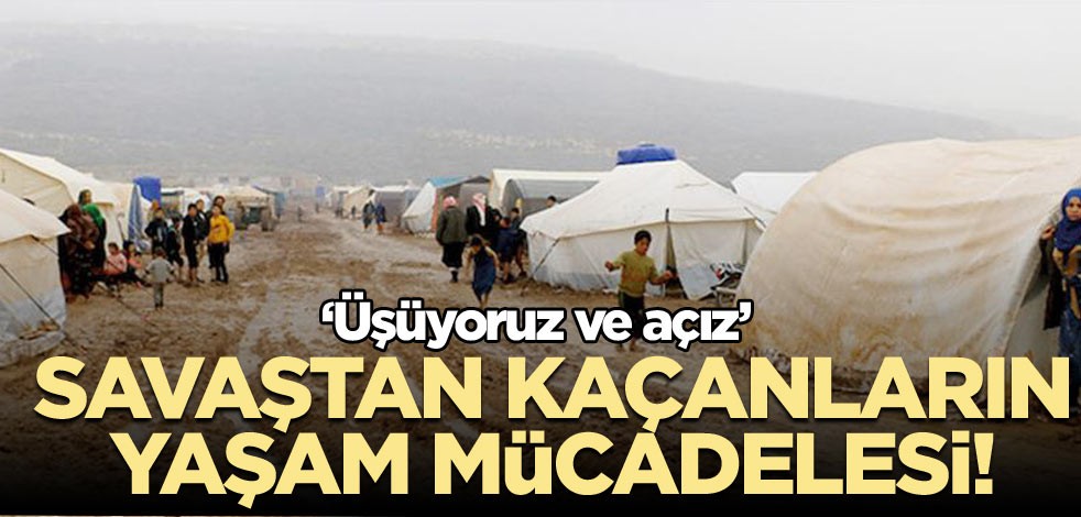 Savaştan kaçtılar, yaşam mücadelesi! ‘Üşüyoruz ve açız’