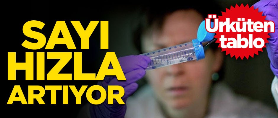 Sayı hızla artıyor... Ürküten tablo