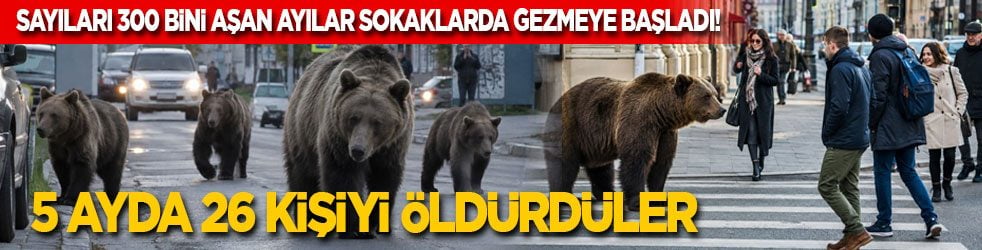 Sayıları 300 bini aşan ayılar sokaklarda gezmeye başladı! 5 ayda 26 kişiyi öldürdüler