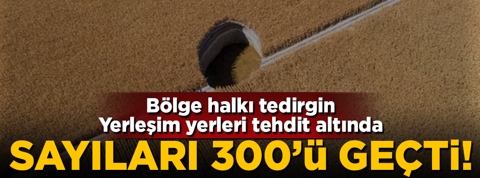 Sayıları 300'ü geçti! Yerleşim yerleri tehdit altında
