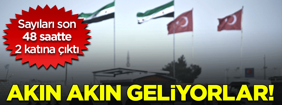 Sayıları son 48 saatte 2 katına çıktı!