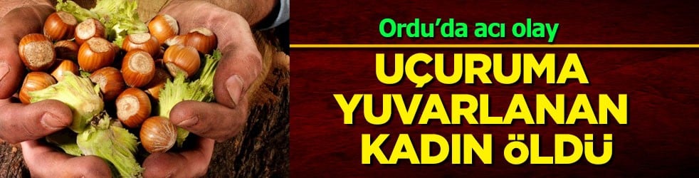  Sebebi herkesi şaşkına çevirdi... Fındık hasadı dönüşü acı olay: 62 yaşında olan talihsiz kadın öldü