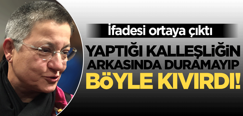 Şebnem Korur Fincancı'nın ifadesi ortaya çıktı! Böyle geri adım attı: Bilmiyordum