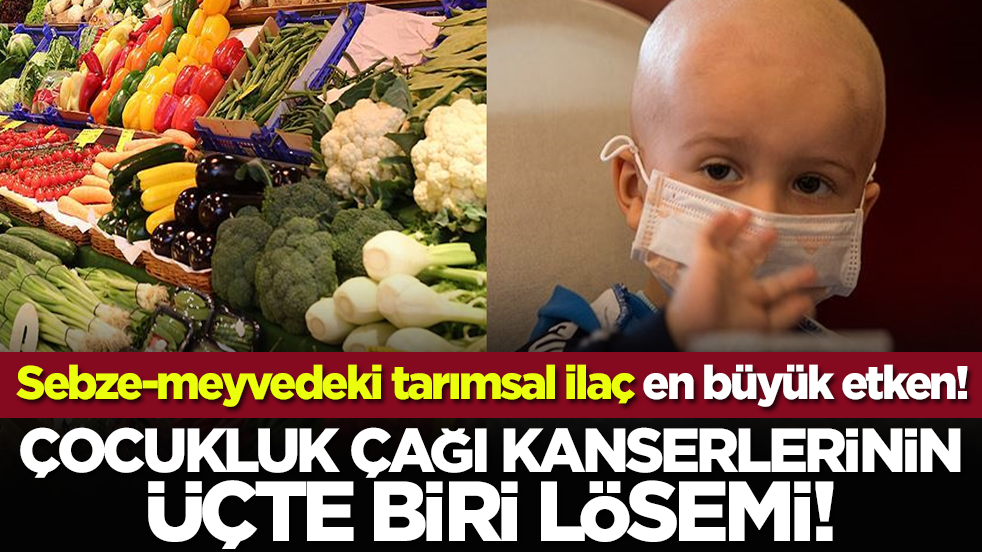  Sebze-meyvedeki tarımsal ilaç en büyük etken! Çocukluk çağı kanserlerinin üçte biri lösemi!