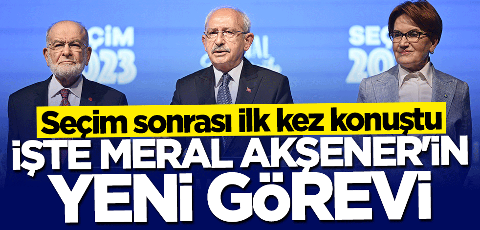 Seçim sonrası ilk kez konuştu... İşte Meral Akşener'in yeni görevi