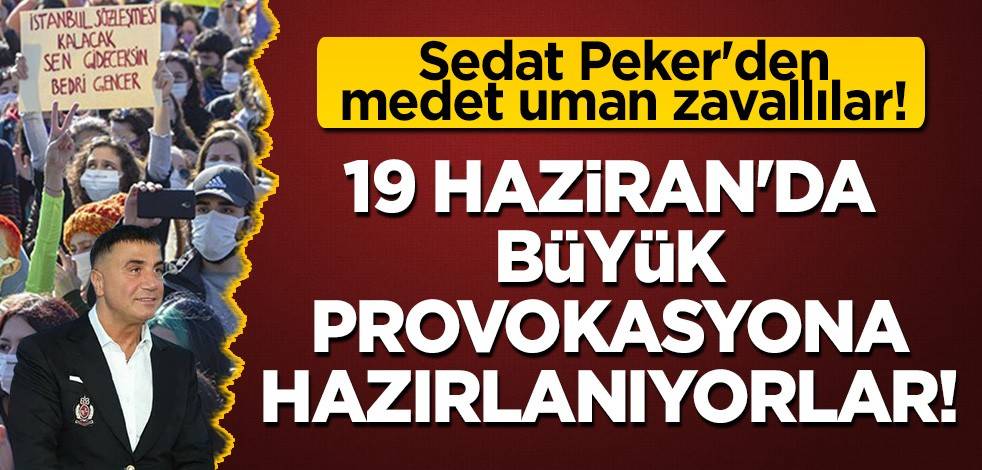 Sedat Peker'den medet uman zavallılar! 19 Haziran'da büyük provokasyona hazırlanıyorlar