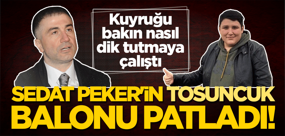 Sedat Peker'in 'Tosuncuk' balonu patladı! Kuyruğu bakın nasıl dik tutmaya çalıştı