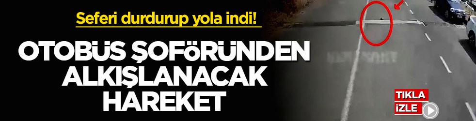 Seferi durdurup yola indi! Otobüs şoföründen alkışlanacak hareket