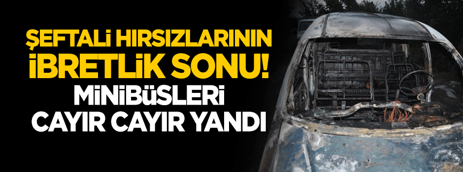 Şeftali hırsızlarının ibretlik sonu! Minibüsleri cayır cayır yandı