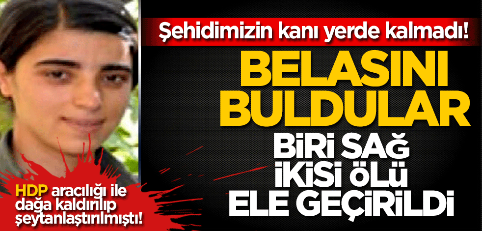 Şehidimizin kanı yerde kalmadı!