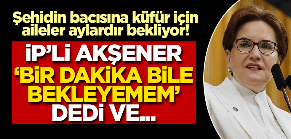 Şehidin bacısı için aileler aylardır beklerken! İP'li Meral 'Bir dakika bile bekleyemem' dedi ve...