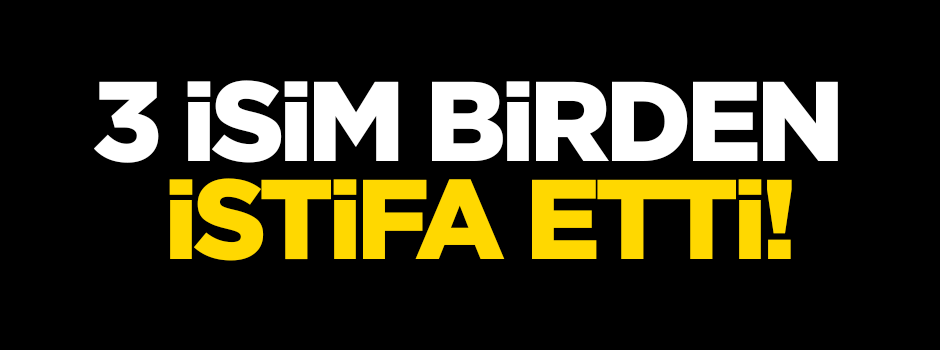 Şehir Üniversitesi'nde 3 istifa birden