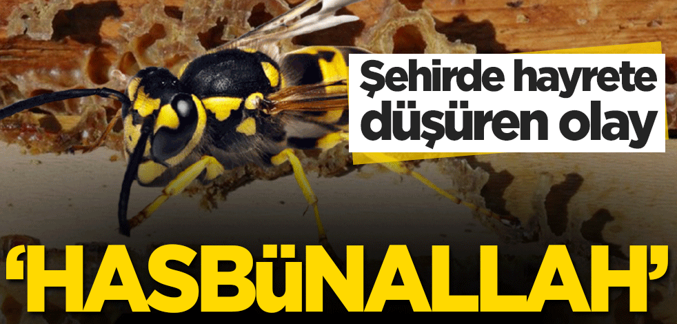 Şehirde hayrete düşüren olay! ‘Hasbünallah’