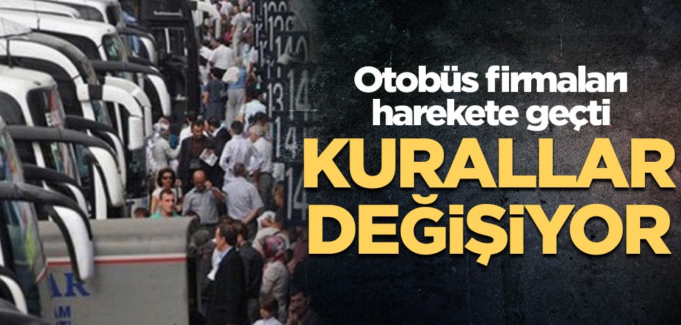 Şehirlerarası hatlarda artık evcil hayvanlar taşınacak