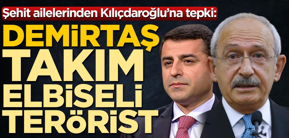 Şehit ailelerinden Kılıçdaroğlu’na tepki: Demirtaş takım elbiseli terörist