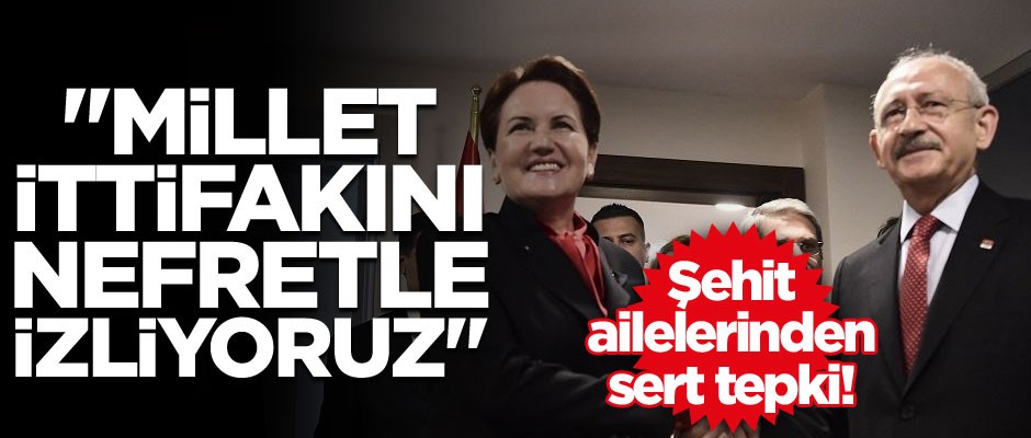 Şehit ailelerinden sert tepki! "Millet ittifakını nefretle izliyoruz"
