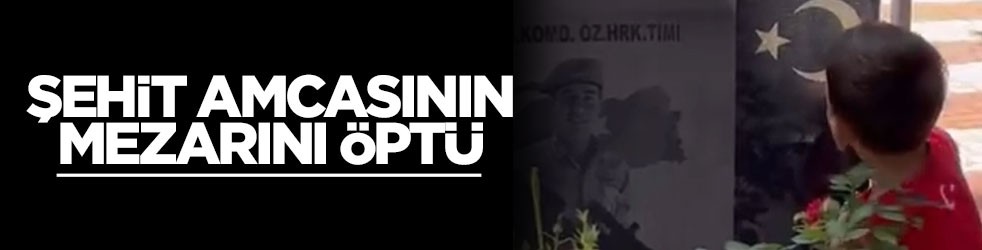 Şehit amcasının mezarını öptü