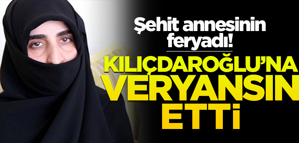 Şehit annesinin feryadı! Kılıçdaroğlu'na veryansın etti