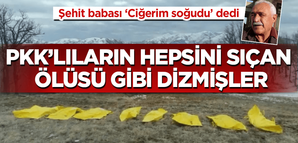 Şehit babası: PKK'lıların hepsini sıçan ölüsü gibi dizmişler