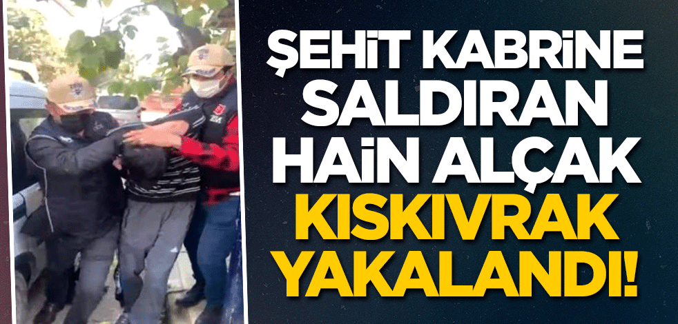 Şehit kabrine saldıran hain alçak kıskıvrak yakalandı!