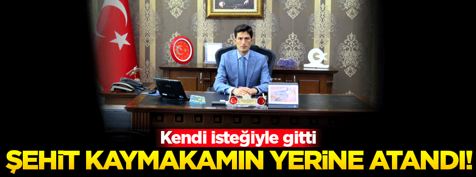 Şehit kaymakamının yerine o isim atandı!