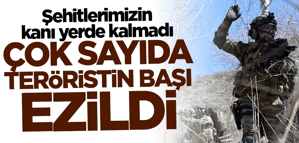 Şehitlerimizin kanı yerde kalmadı! 22 hainin daha başı ezildi