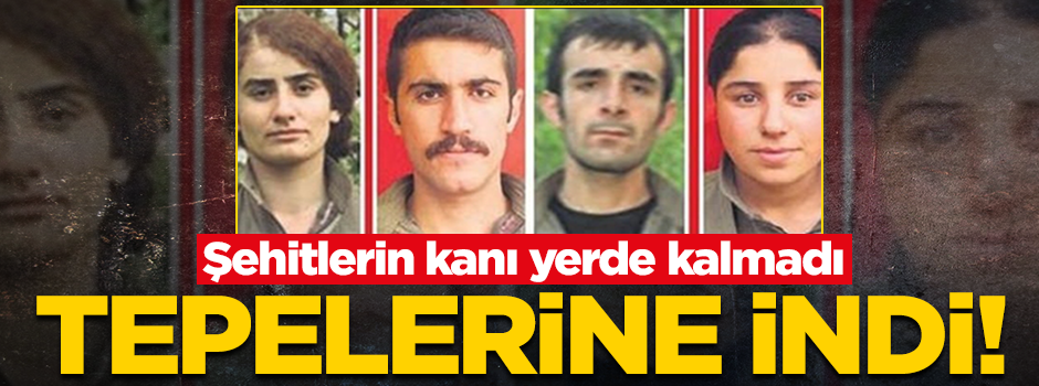 Şehitlerimizin kanı yerde kalmadı! Katiller öldürüldü