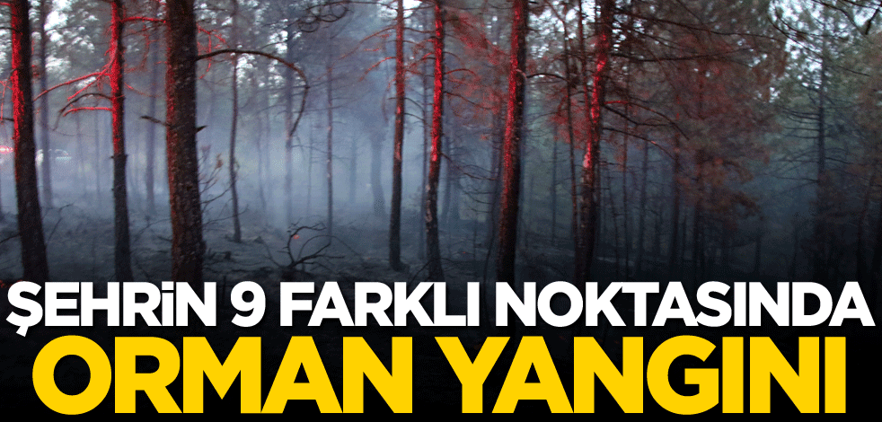 Şehrin 9 farklı noktasında orman yangını!
