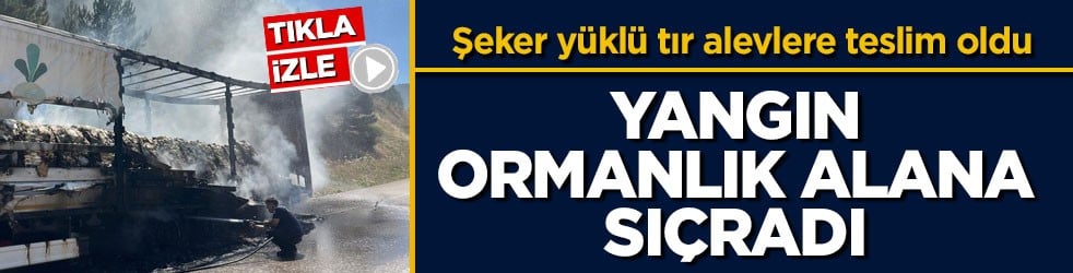 Şeker yüklü tır alevlere teslim oldu! Yangın ormanlık alana sıçradı
