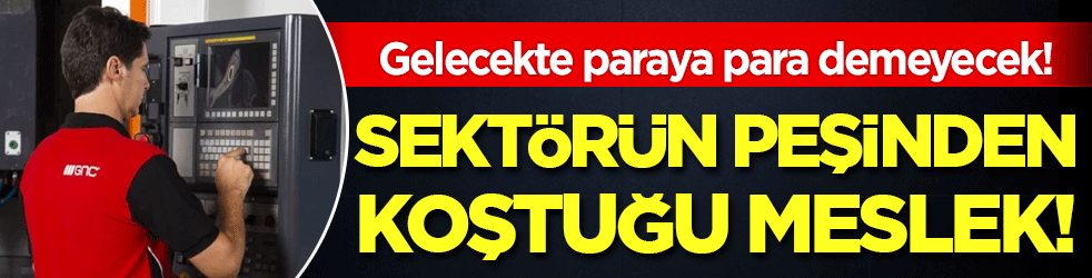 Sektörün peşinden koştuğu meslek: Gelecekte paraya para demeyecek!