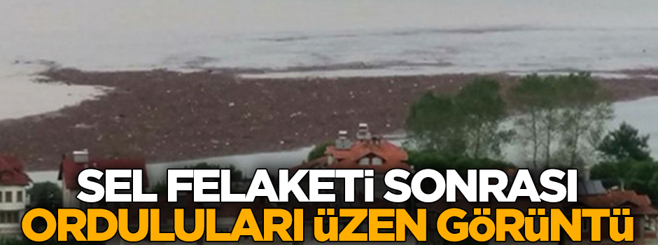 Sel felaketi sonrası Orduluları üzen görüntü