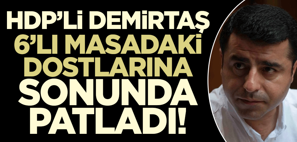 Selahattin Demirtaş 6'lı masadaki dostlarına sonunda patladı! 'HDP'nin isteği atla deve değil'