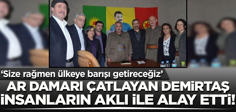 Selahattin Demirtaş Bakan Soylu'yu hadsizce hedef aldı! İnsanların aklı ile alay etti...