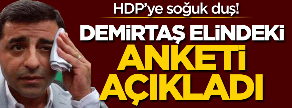Selahattin Demirtaş elindeki anketi açıkladı