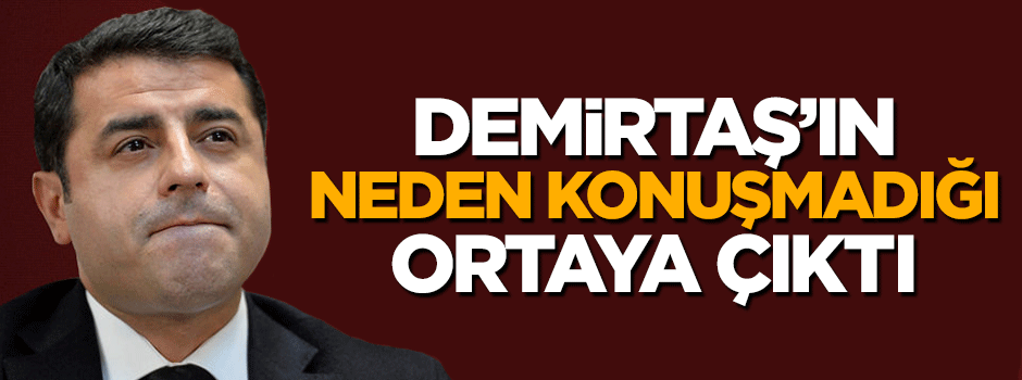 Selahattin Demirtaş'ın ameliyattan sonra konuşamadığı ortaya çıktı
