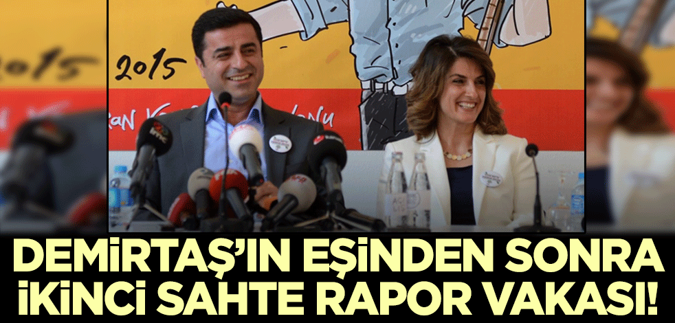 Selahattin Demirtaş'ın eşinden sonra ikinci sahte rapor vakası!