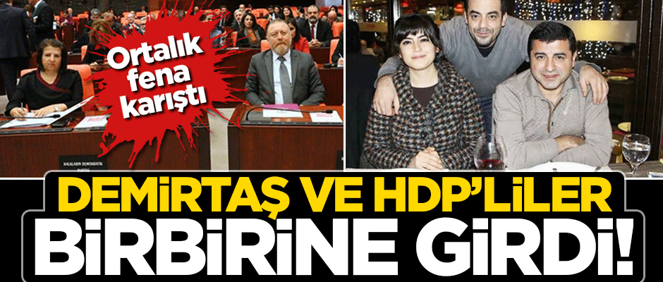 Selahattin Demirtaş'ın kardeşi ile HDP'liler birbirine girdi