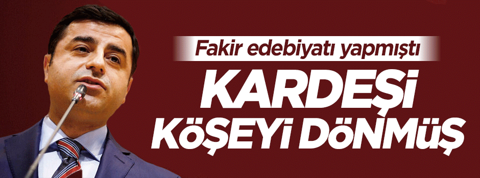 Selahattin Demirtaş'ın kardeşi köşeyi dönmüş