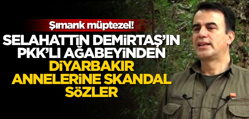 Selahattin Demirtaş'ın PKK'lı ağabeyi Nurettin Demirtaş'tan Diyarbakır annelerine skandal sözler!
