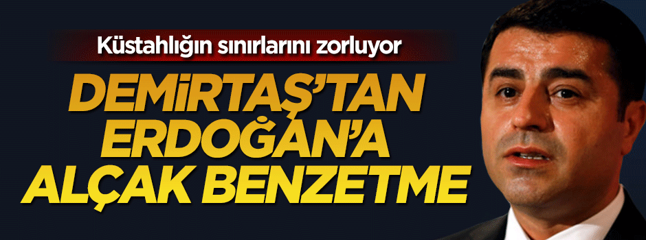 Selahattin Demirtaş'tan Erdoğan'a alçak benzetme
