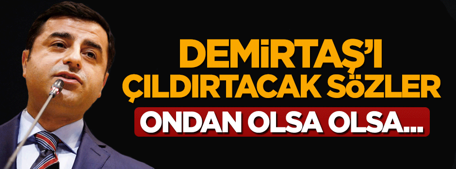 Selçuk Özdağ: Demirtaş'tan olsa olsa pinokyo olur