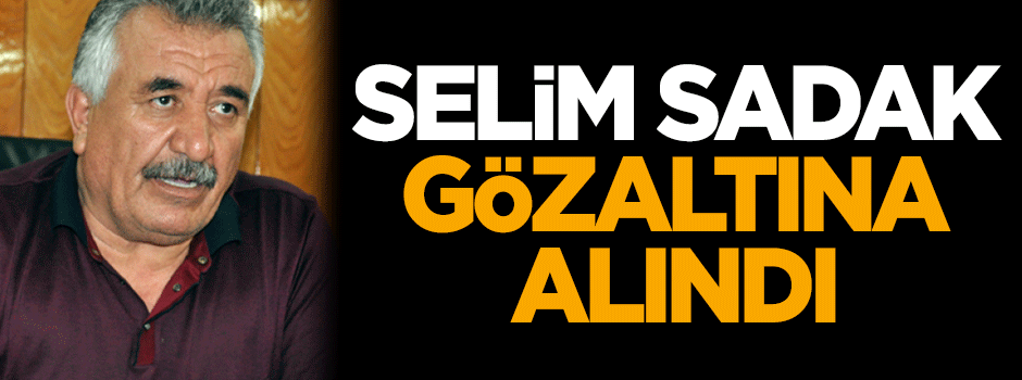 Selim Sadak İstanbul'da gözaltına alındı!