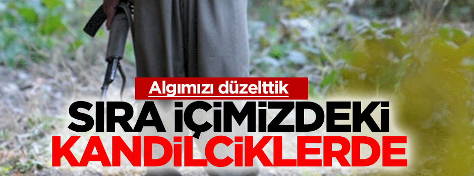 Selvi: Kandil vuruldu, sıra sınırımız içindeki Kandilciklerde!