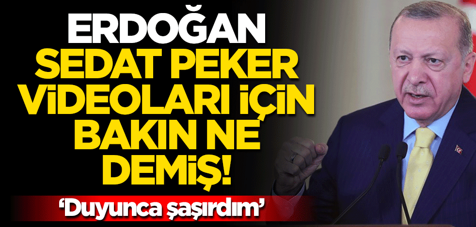 Selvi yazdı: Erdoğan video operasyonları hakkında "Ciddiye almayın, önemsemeyin" dedi