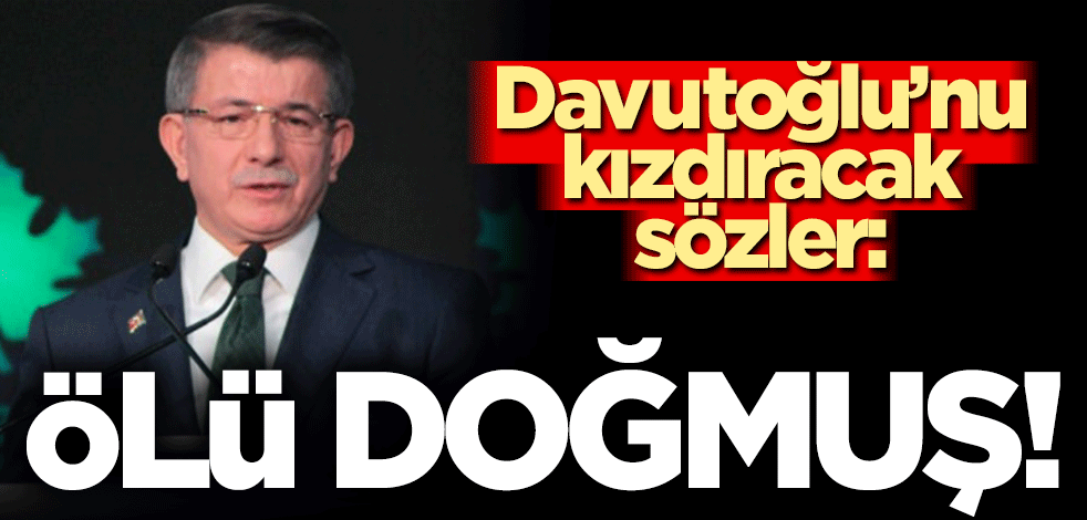 Selvi'den Davutoğlu'nu kızdıracak sözler! " Gelecek Partisi ölü doğmuş"