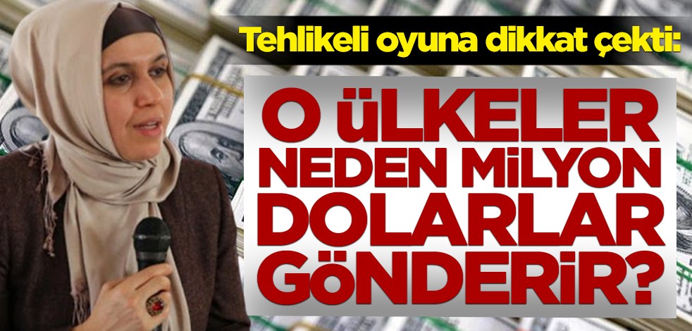 Sema Maraşlı tehlikeli oyuna dikkat çekti: O ülkeler neden milyon dolarlar gönderir?