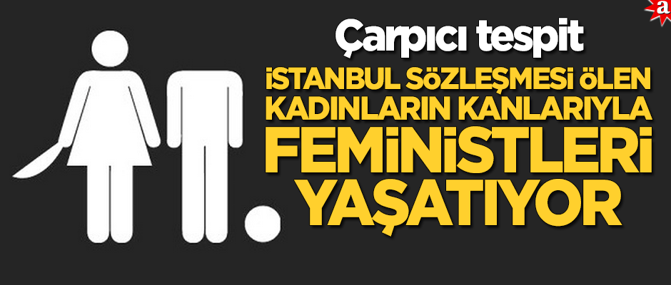 Sema Maraşlı'dan çarpıcı tespit: İstanbul Sözleşmesi ölen kadınların kanıyla feministleri yaşatıyor
