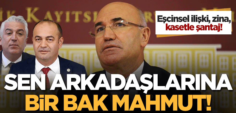 Sen arkadaşlarına bir bak Mahmut! İşte CHP'li Tanal'ın dava arkadaşlarının zina skandalları...